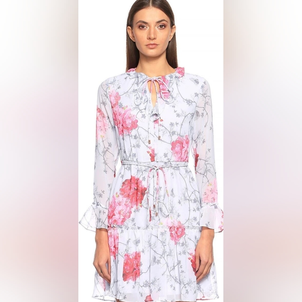 **LAST CHANCE** NWT -Ted Baker Babylon Ruffle Pink Floral Dress (TB Size 4) -